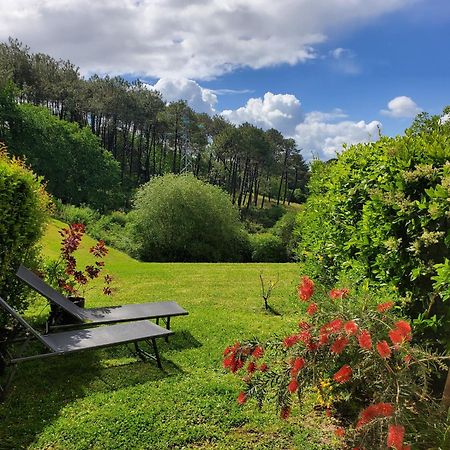 Appartement Calme Avec Jardin Bidart Biarritz Luaran gambar