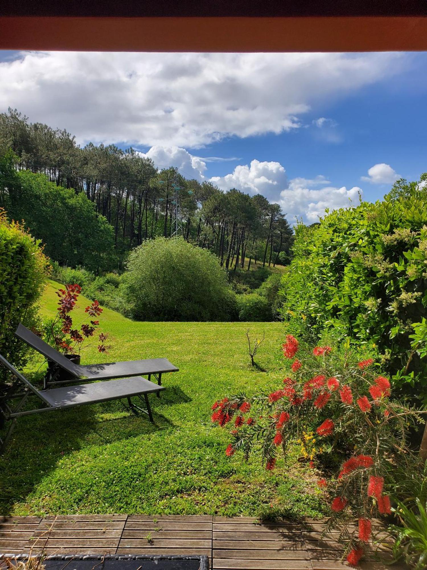 Appartement Calme Avec Jardin Bidart Biarritz Luaran gambar